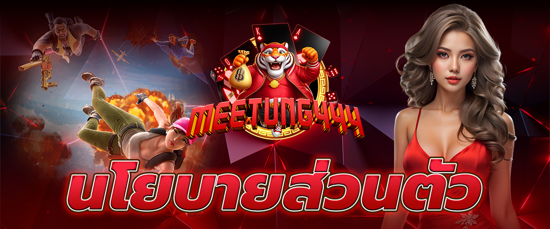 นโยบายความเป็นส่วนตัว